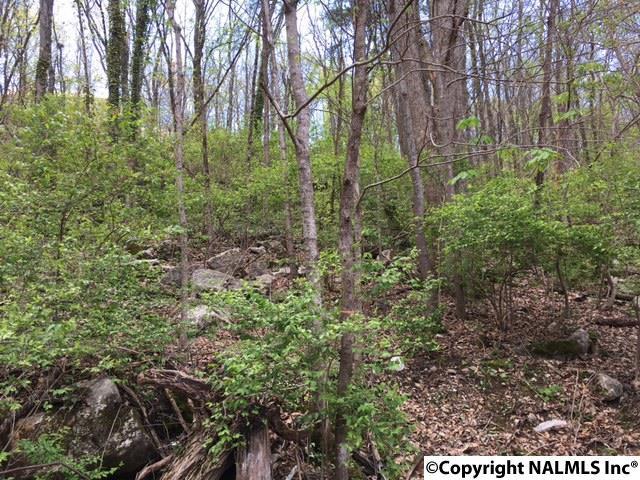 2204 Colice Road - Photo 1