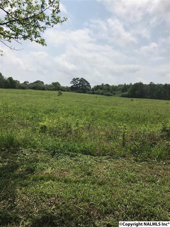663 Lee Holcomb Road - Photo 1