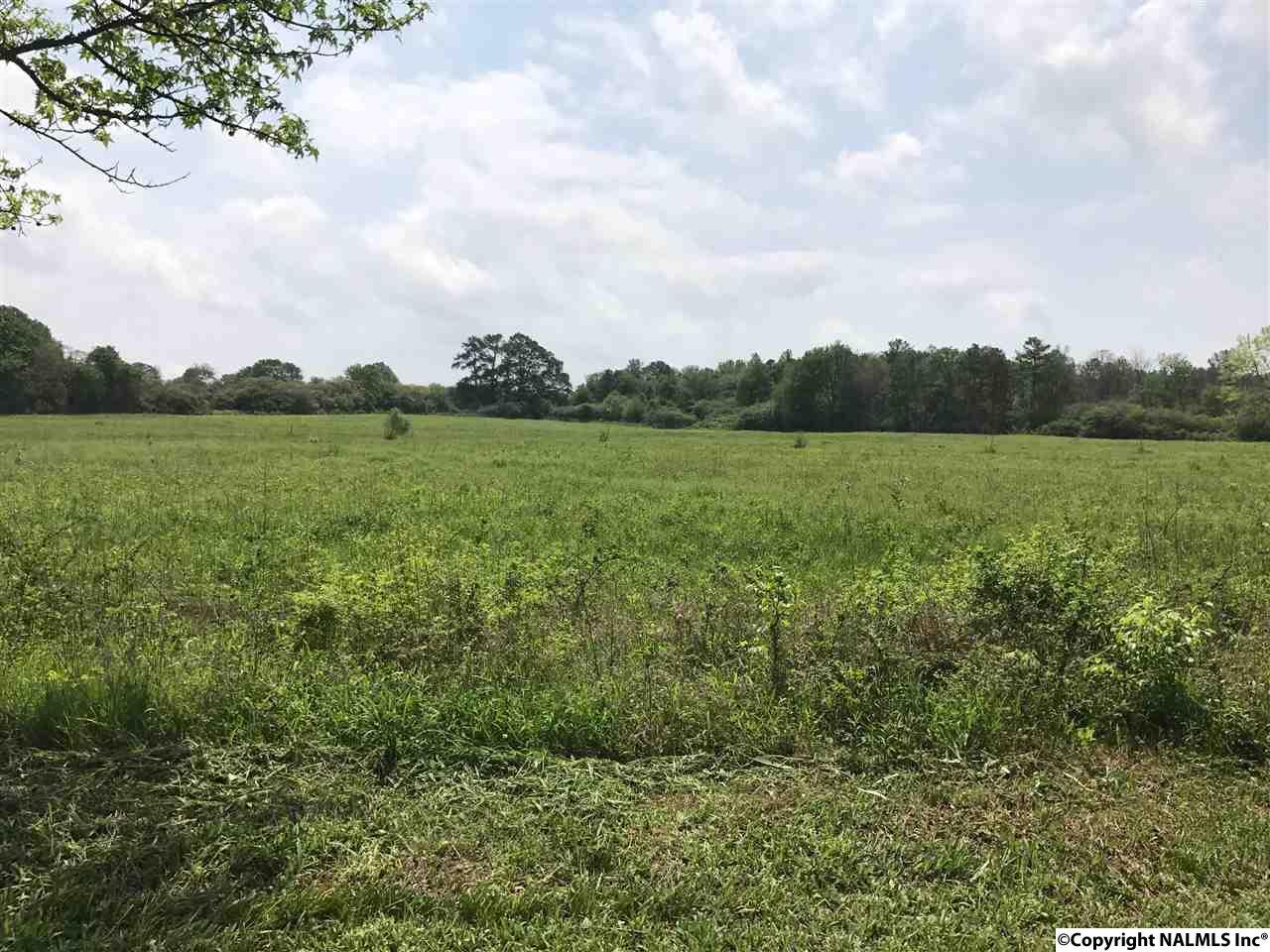 685 Lee Holcomb Road - Photo 1