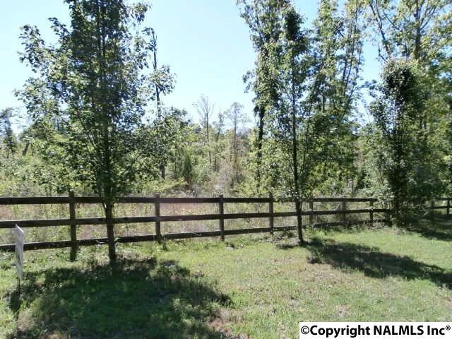 Lot 13 Road 1970 - Photo 1