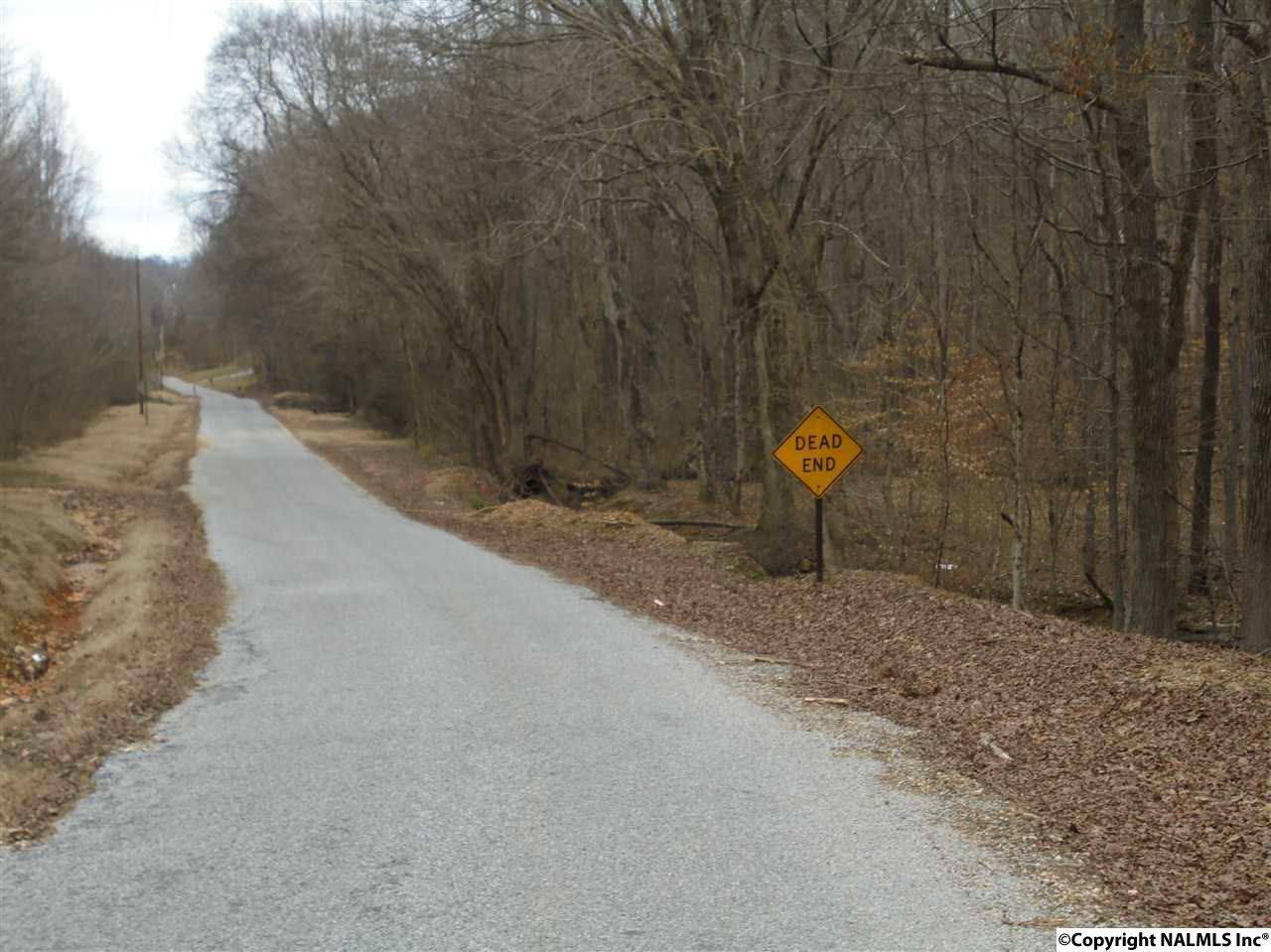 0 Blue Springs Road - Photo 1