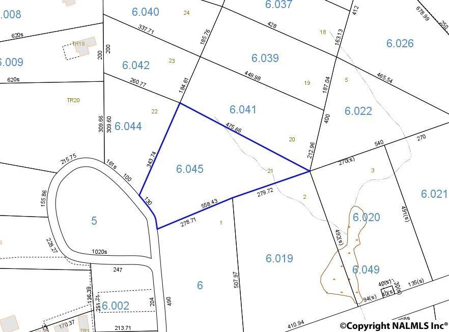 Lot 21 County Road 751 - Photo 1