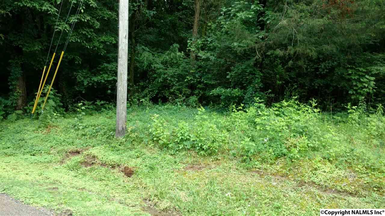 4000 Juniper Drive - Photo 1