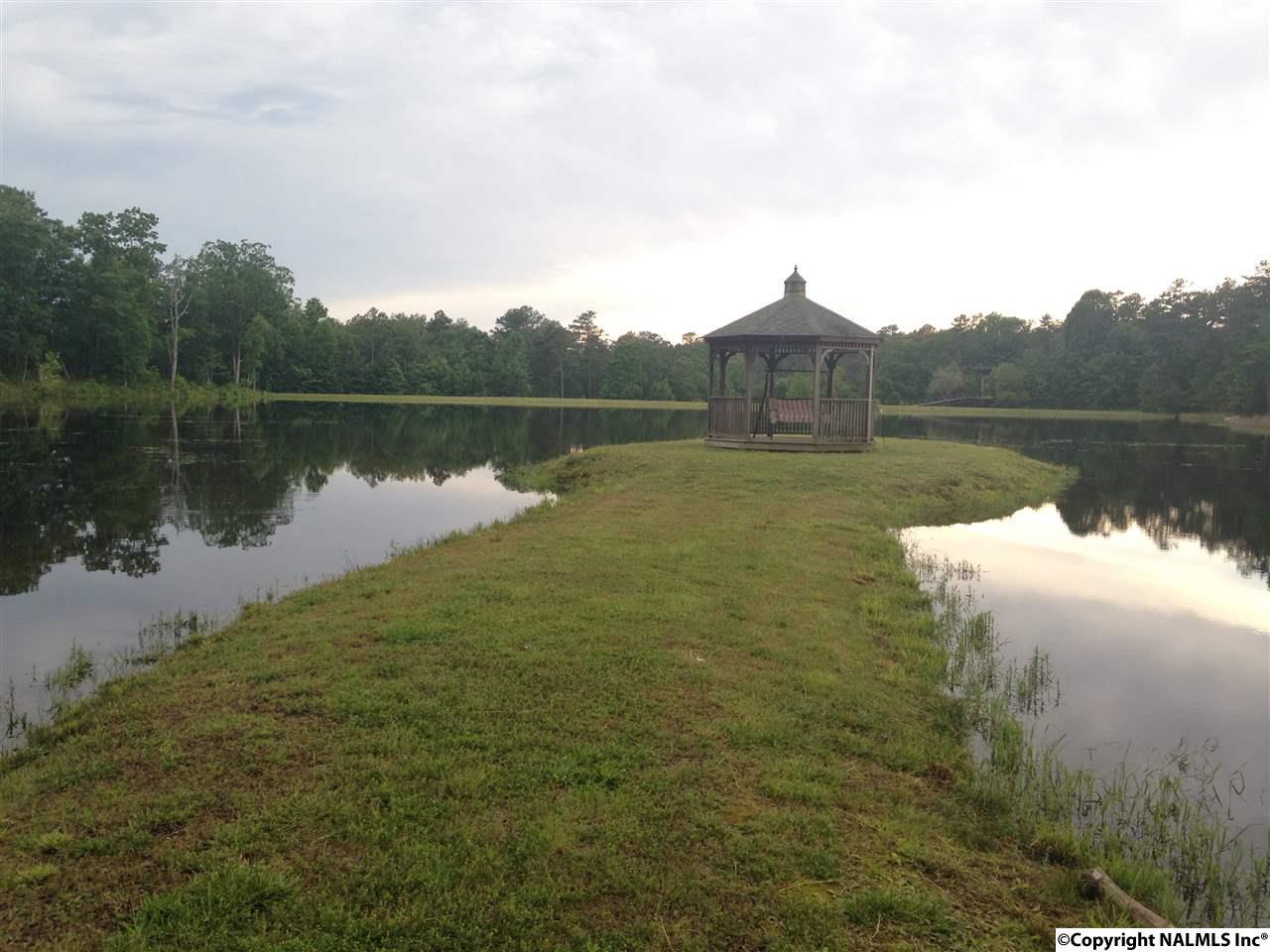 Lot 49 HL County Road 103 - Photo 1