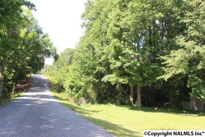 County Road 233 - Photo 1