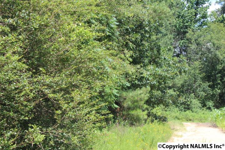 Griffin Street - Photo 1