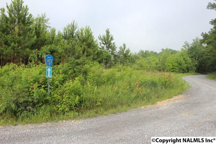 2815 County Road 665 - Photo 1