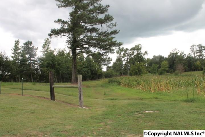 6470 B County Road 52 - Photo 1