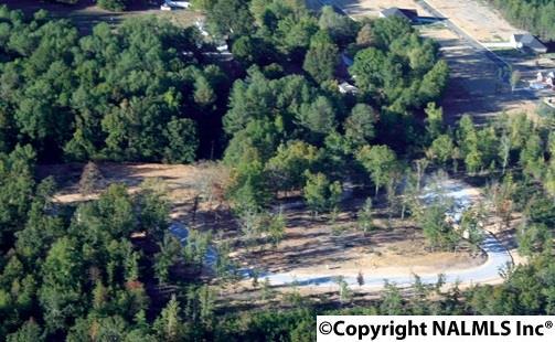 Lot 5 Freedom Lane - Photo 1