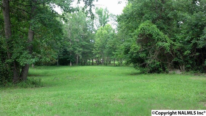 820 County Road 205 - Photo 1