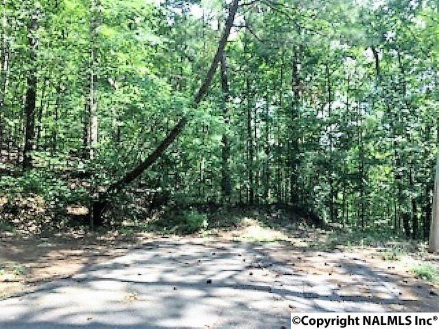 00 Briarwood Lane - Photo 1