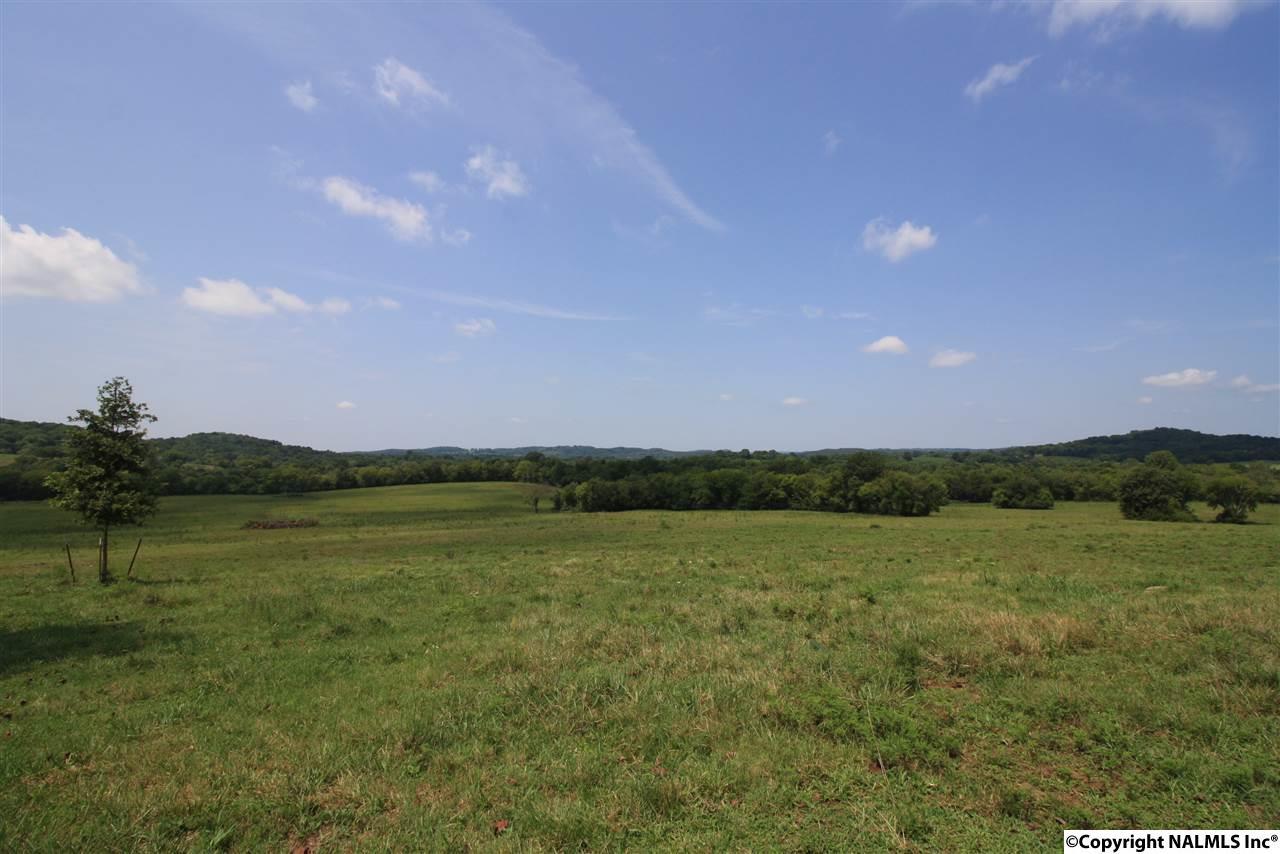 322 Rambo Road - Photo 1