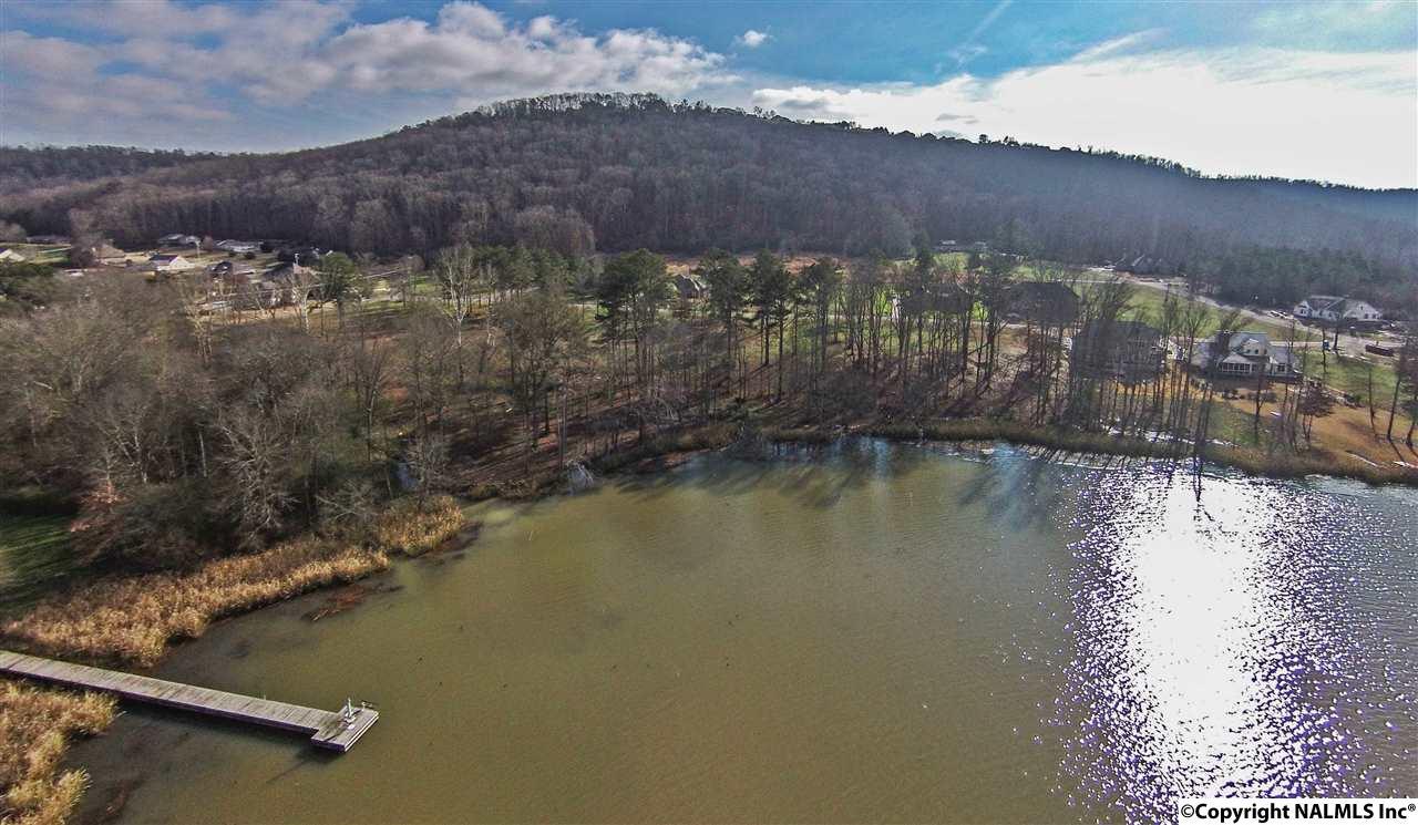 Lot 1 Lake Creek Drive - Photo 1