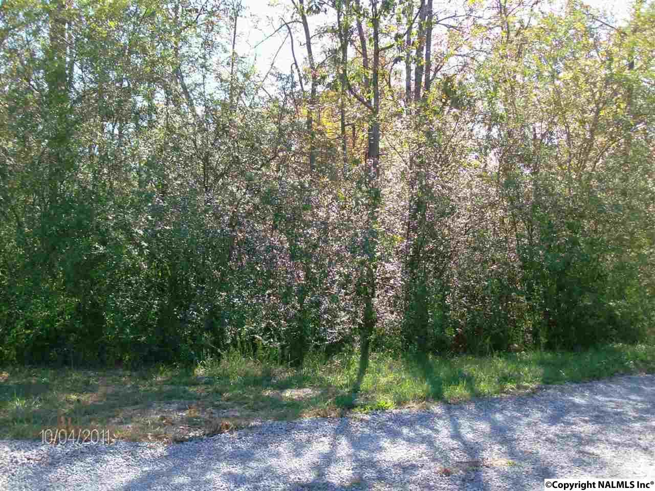 00 Garrett Street - Photo 1