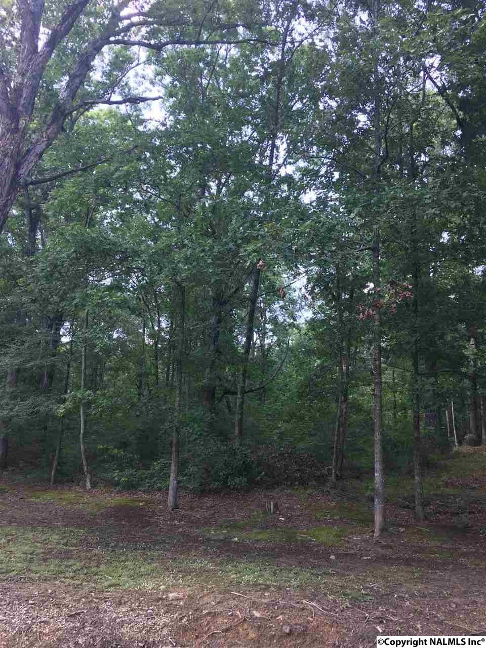 0000 Chapel Hill Road - Photo 1