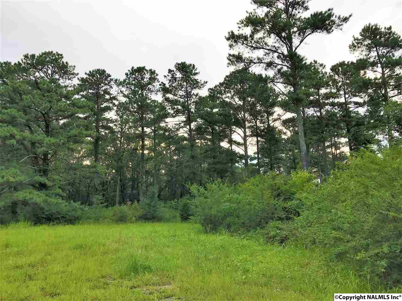 0 Al Hwy 69 - Photo 1