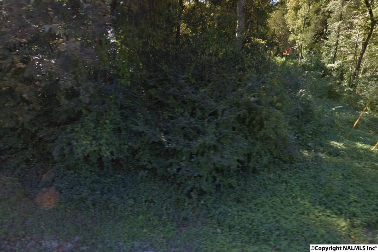 2617 Chapel Hill Road - Photo 1