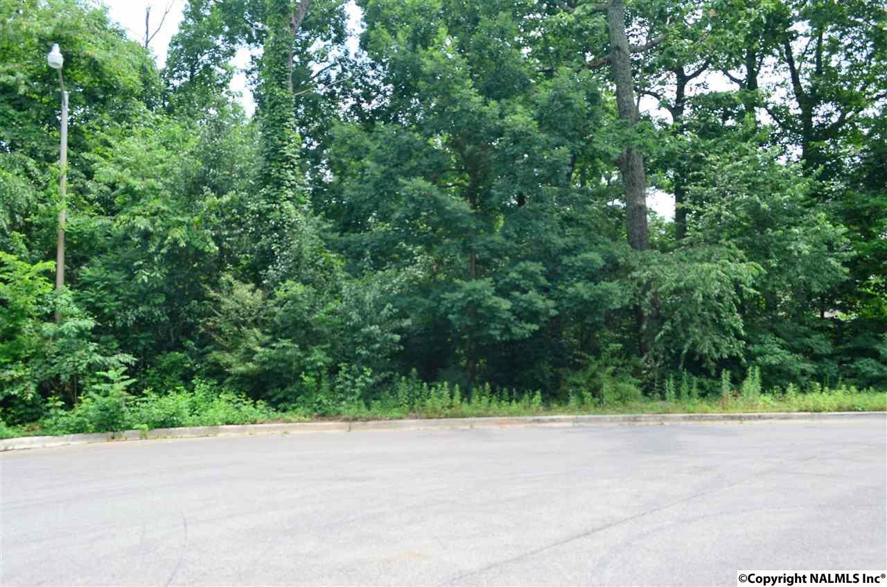 206 Stoneway Trail - Photo 1