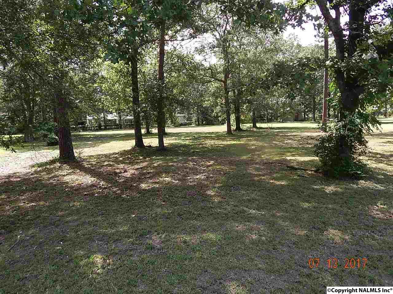912 Muscadine Lane - Photo 1