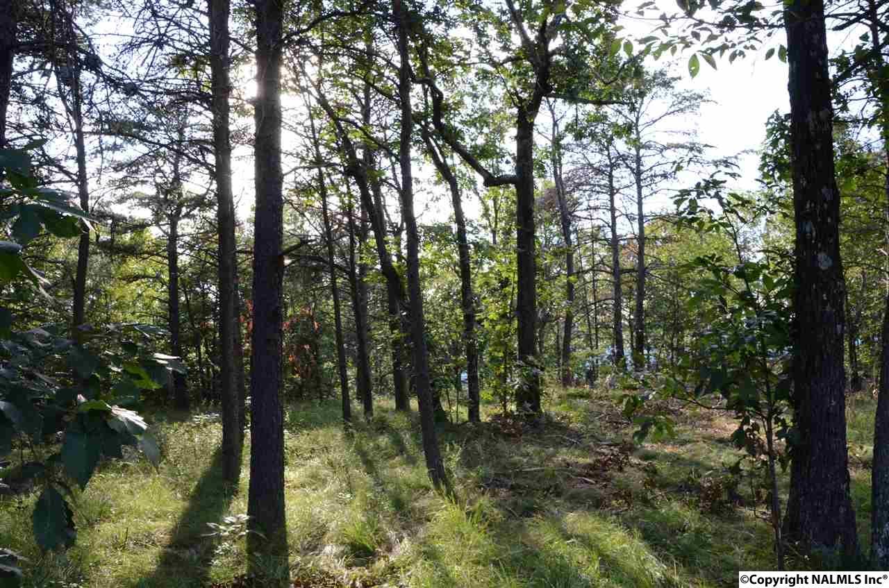 00001 County Road 89 - Photo 1