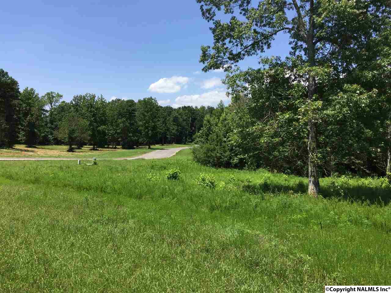LOT 5 Island Drive - Photo 1