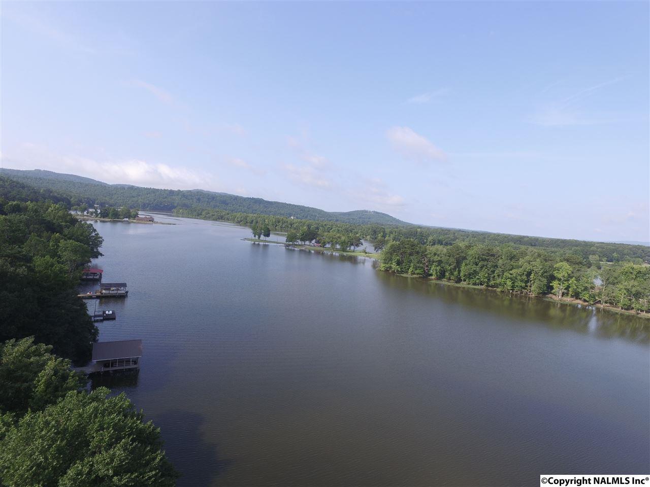 Riverview Drive - Photo 1