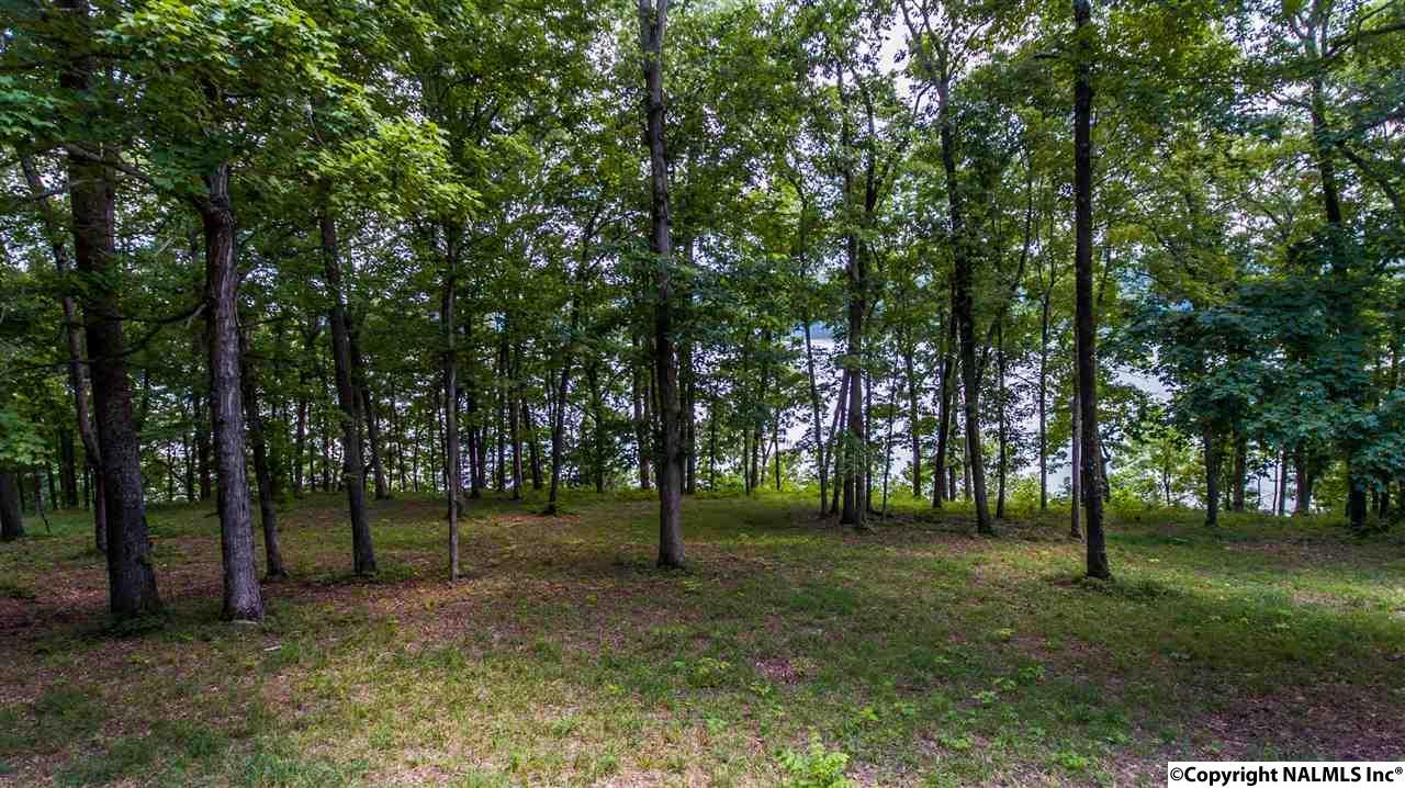 LOT 10 Curtis Road - Photo 1