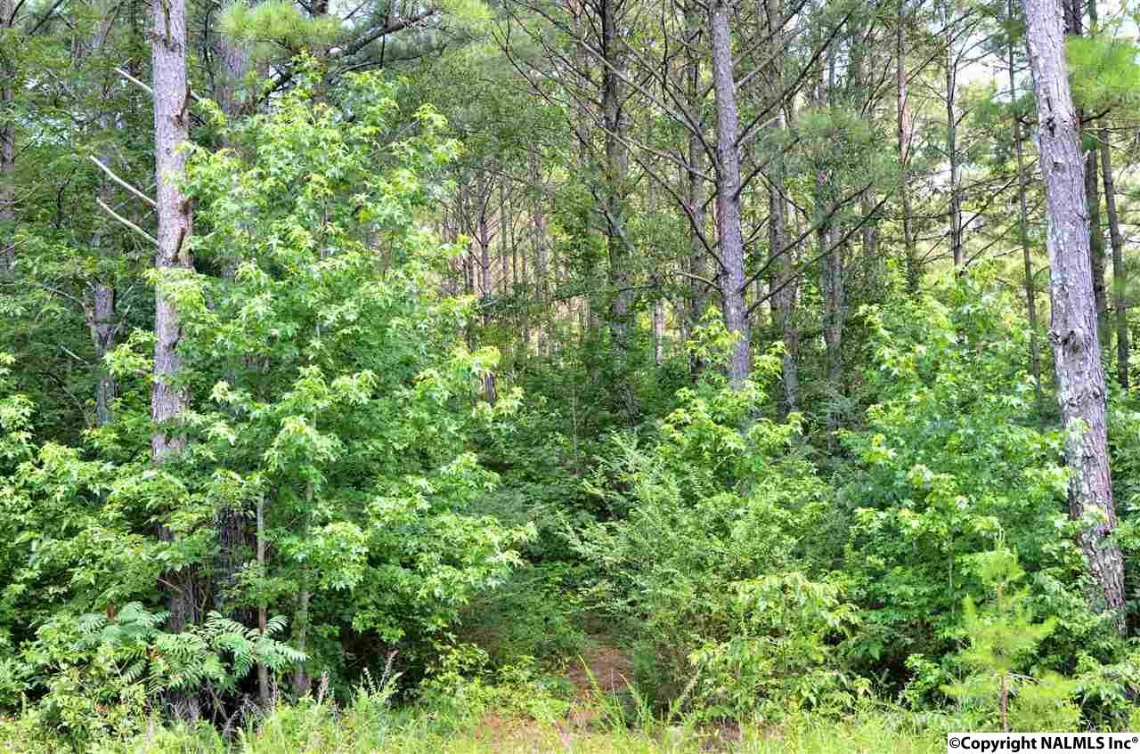 1660 New Liberty Road - Photo 1