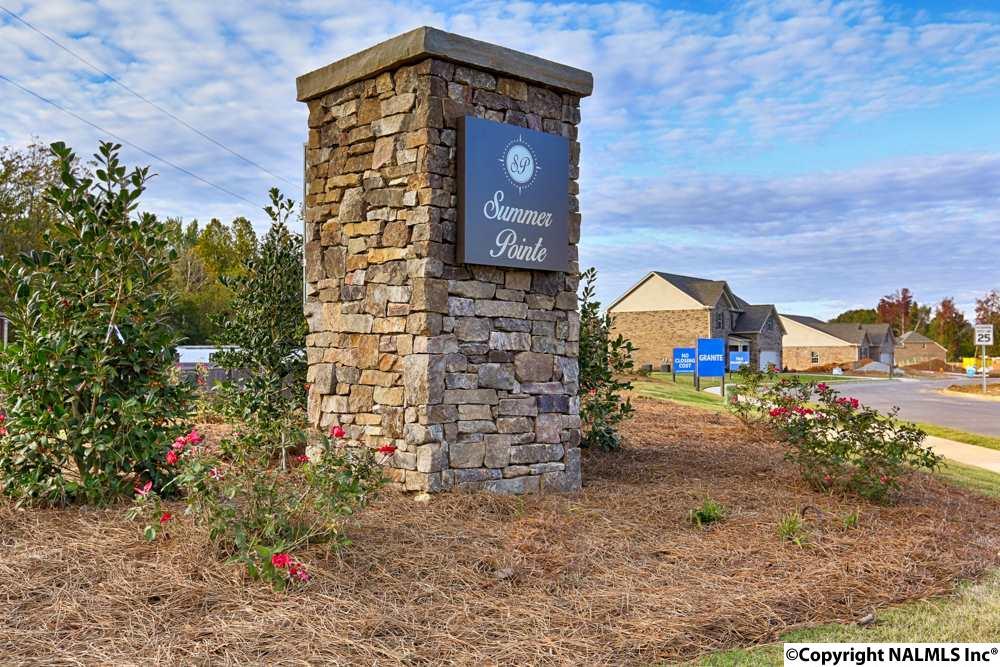 100 Summer Pointe Lane - Photo 1