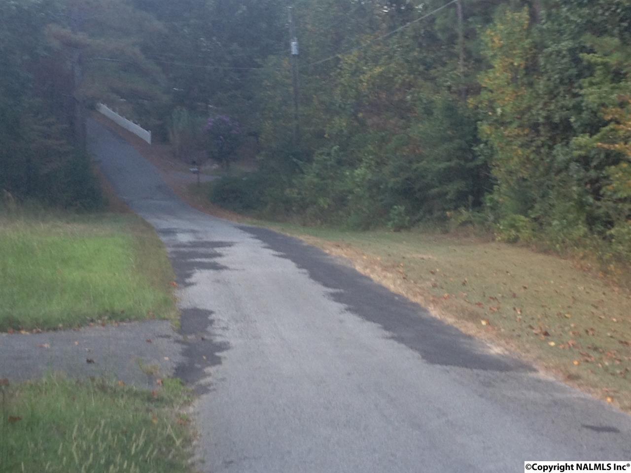 383 Smoke Rise Trail - Photo 1