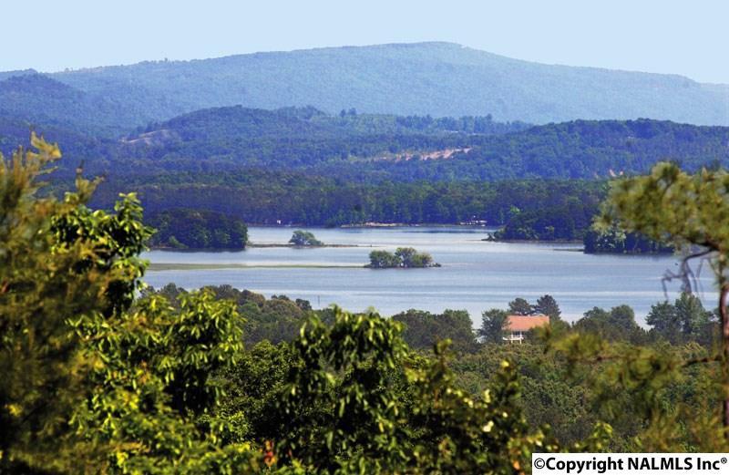 278 County Road 1014 - Photo 1