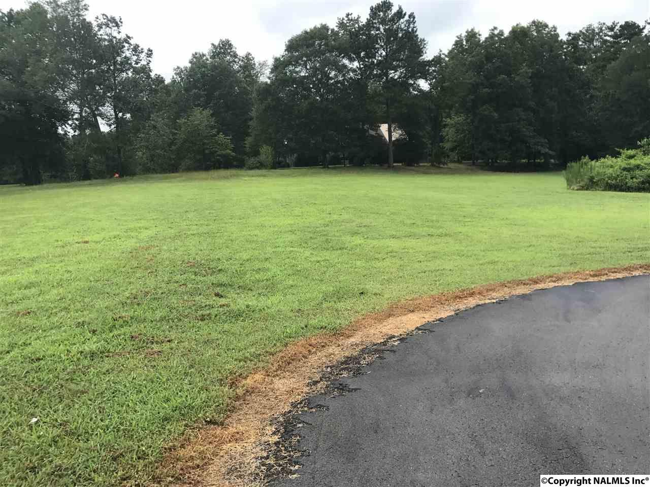 0 Lavaughn Drive - Photo 1