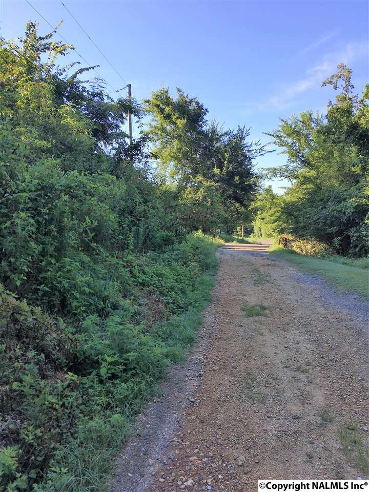 0 Earl Caldwell Drive - Photo 1