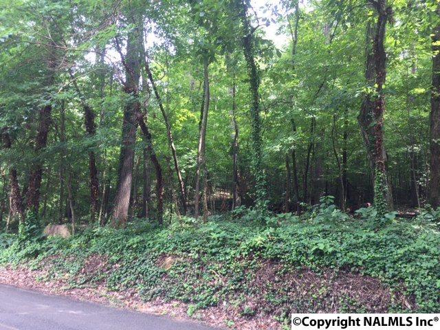 00 Wyeth Drive - Photo 1