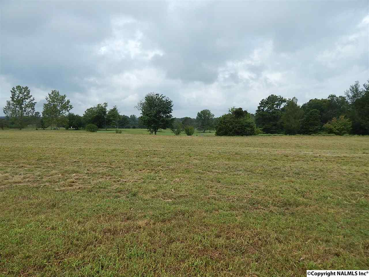 4938 Georgia Mountain Road - Photo 1