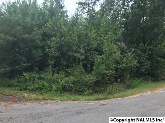 LOT 6 Creekview - Photo 1