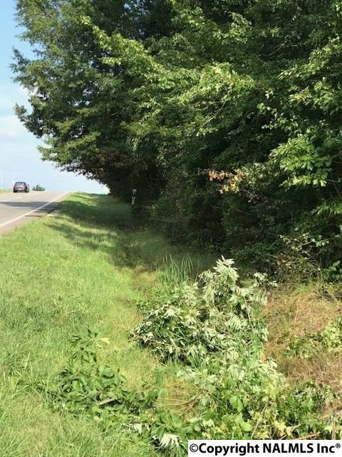 0000 Us Highway 72 - Photo 1