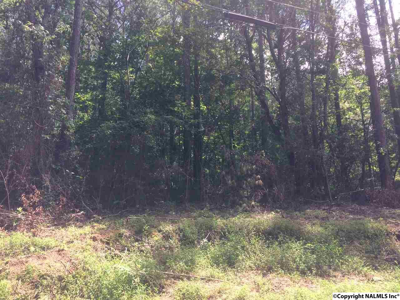 LT#16 Tawannah Circle - Photo 1