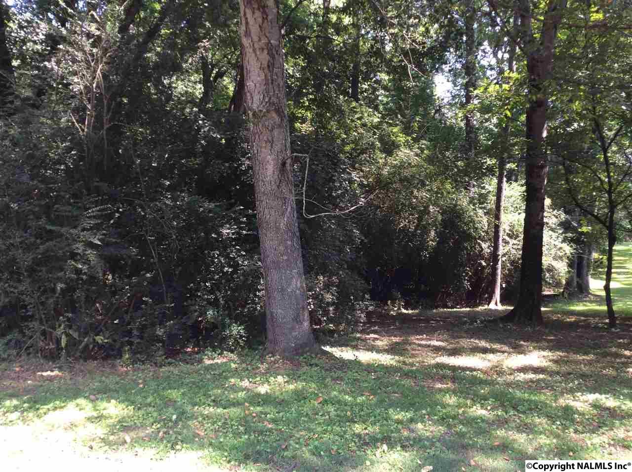 0 River Drive - Photo 1