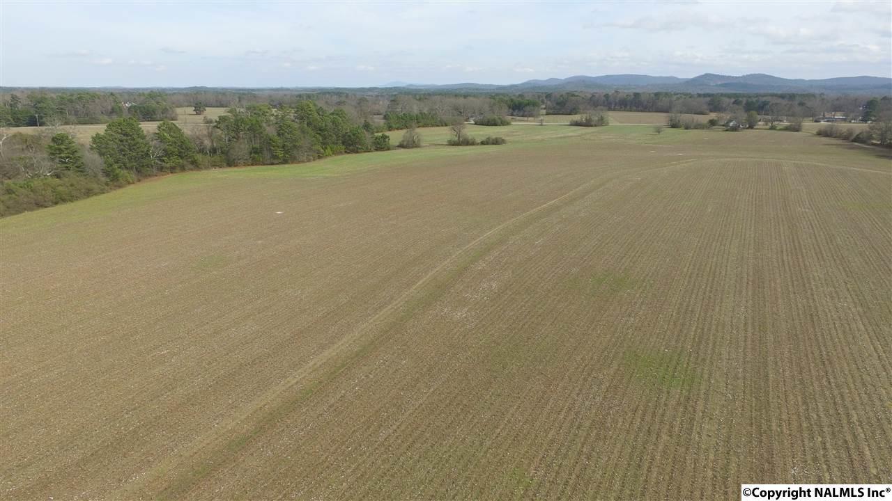00 Whorton Bend Road - Photo 1