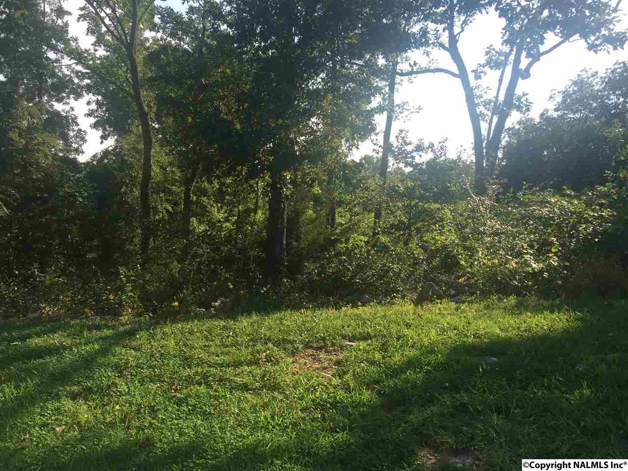 2 Hawks Way - Photo 1