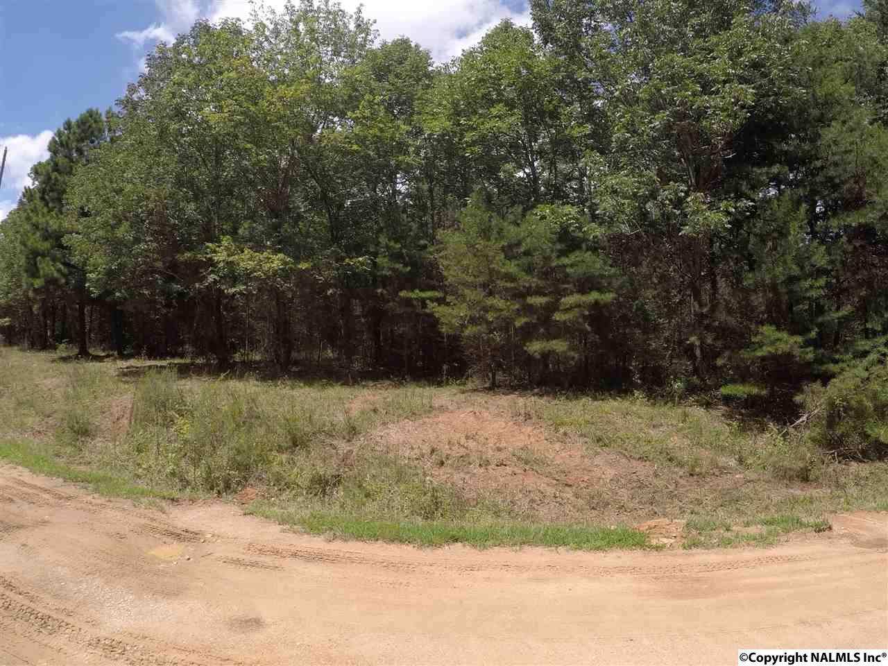 Tract 34 Road 9090 - Photo 1