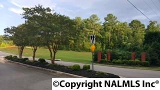 Lot 15 Autumn Ridge Drive - Photo 1