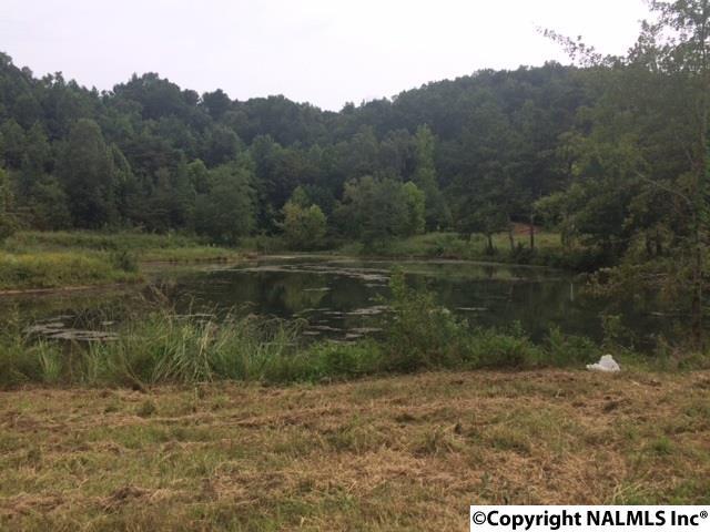 0 Township Road - Photo 1