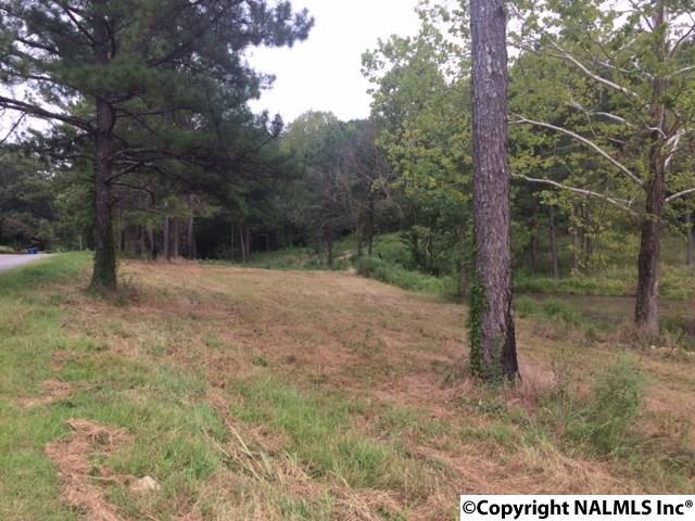 Lt#24 Lakeside Drive - Photo 1