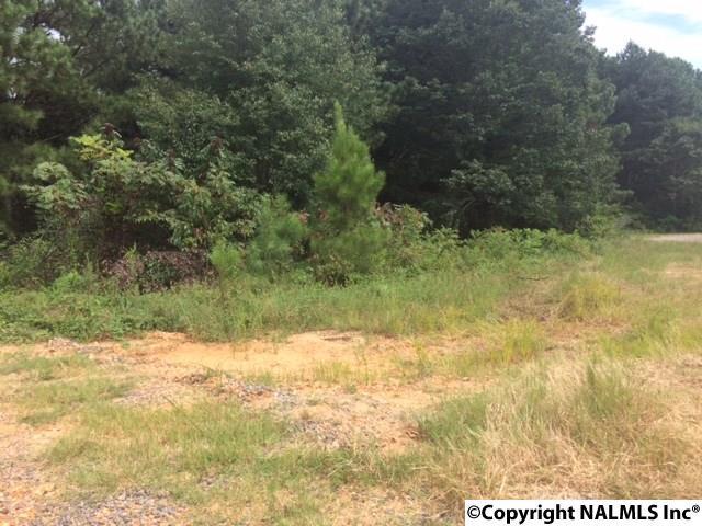 LT#12 Hillside Drive - Photo 1