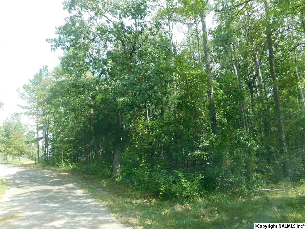 Lot 81 County Road 608 - Photo 1
