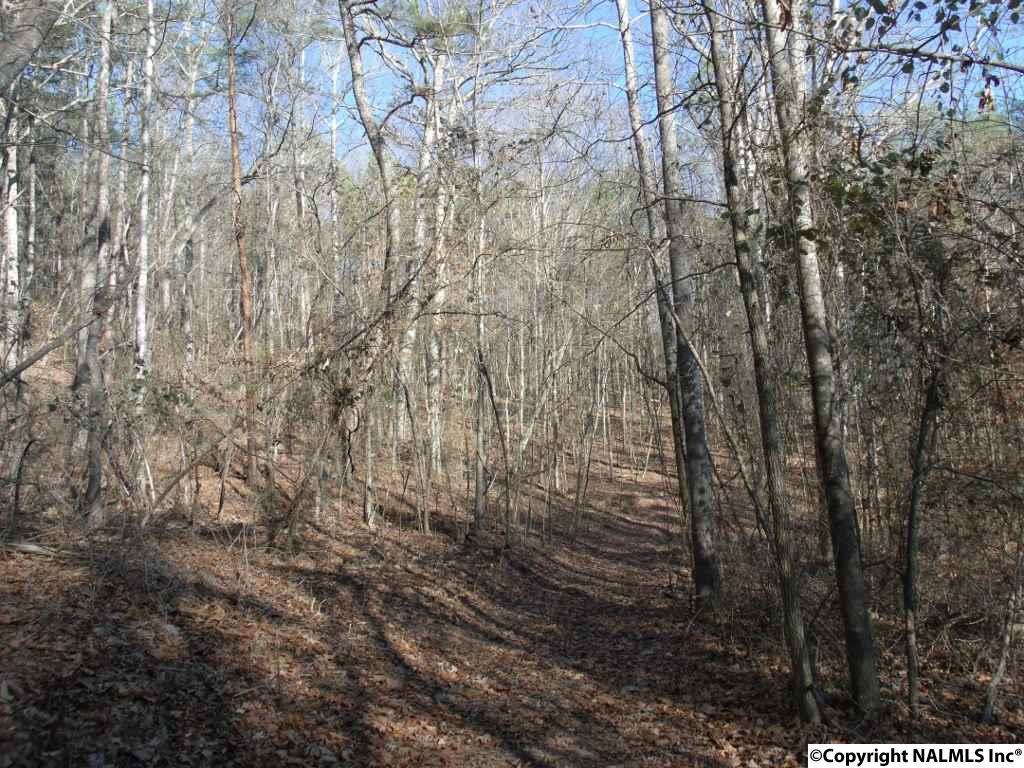 22AC Pleasant Valley Road - Photo 1
