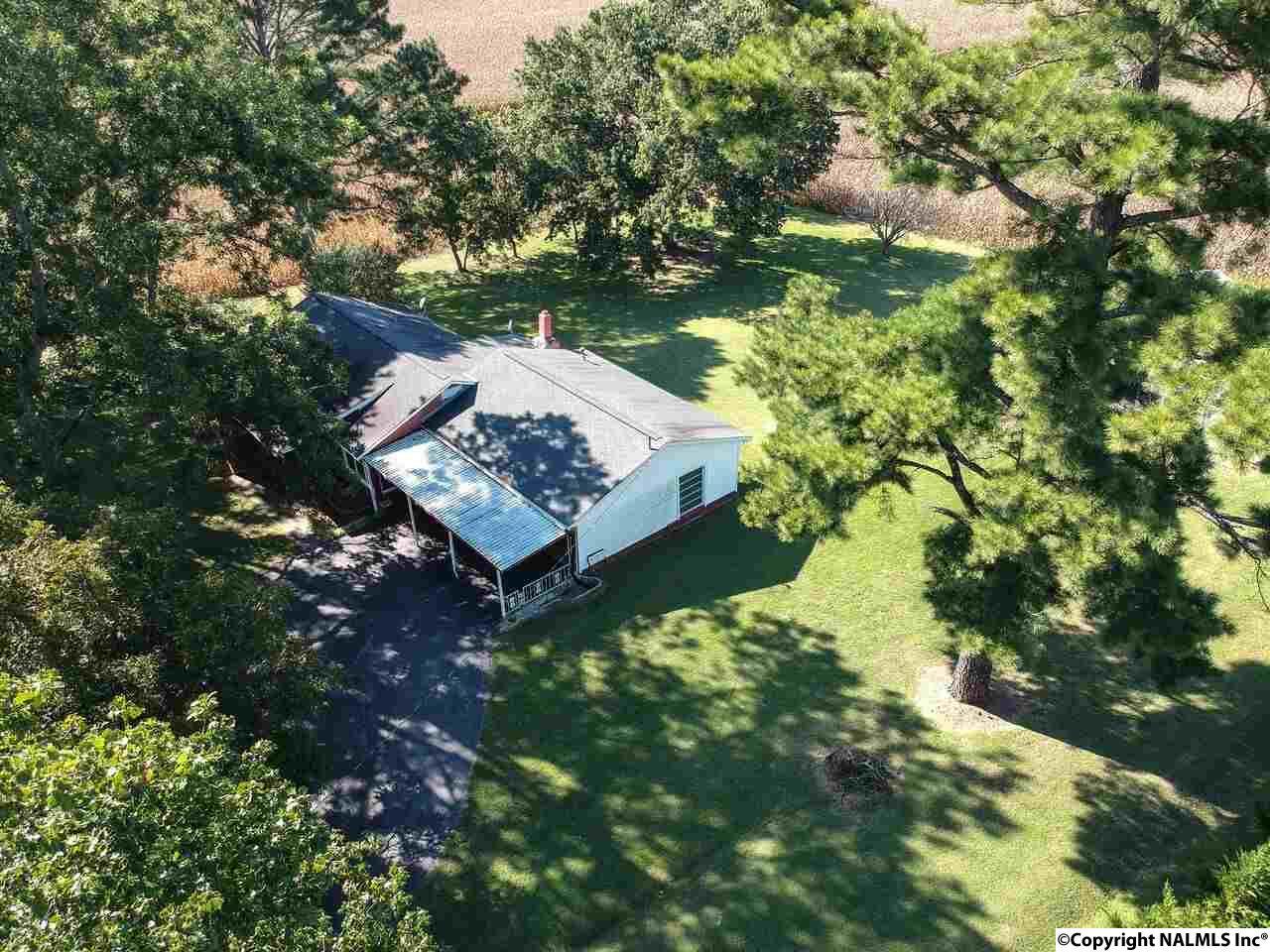 277 Albert Mann Road - Photo 1