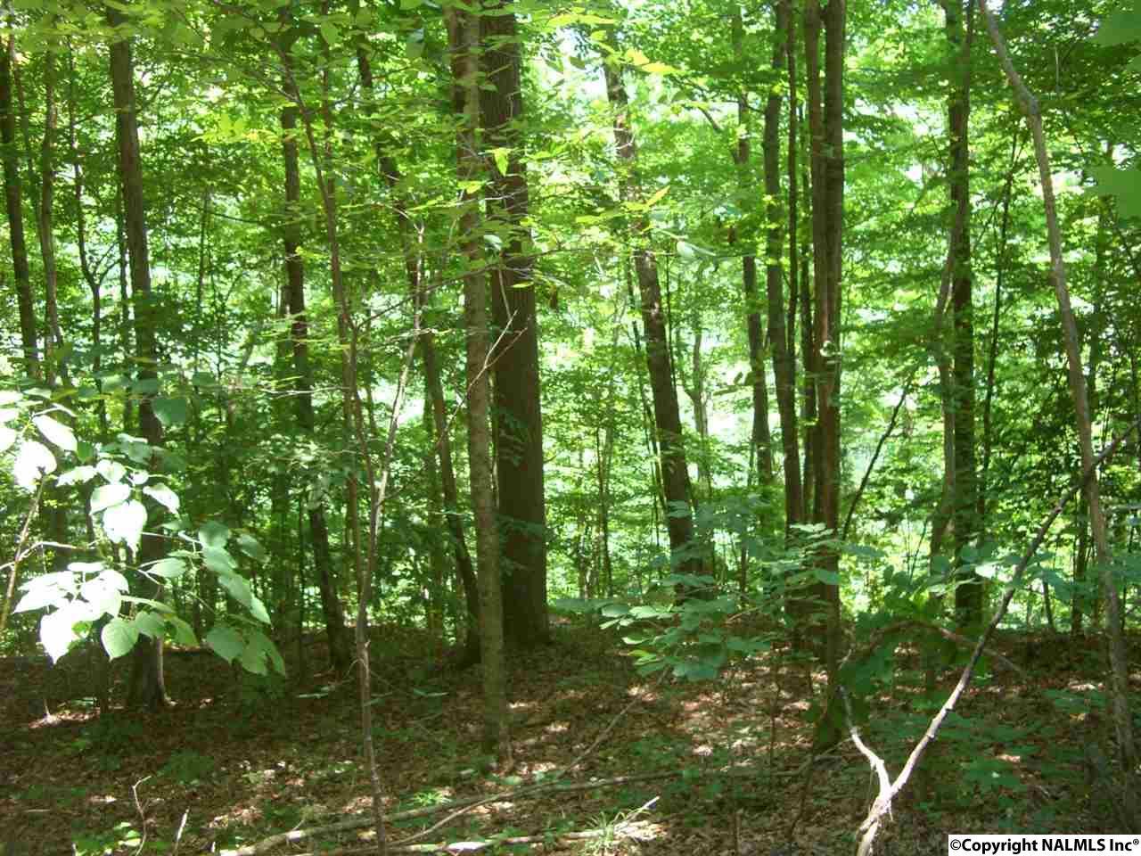 County Road 152 - Photo 1